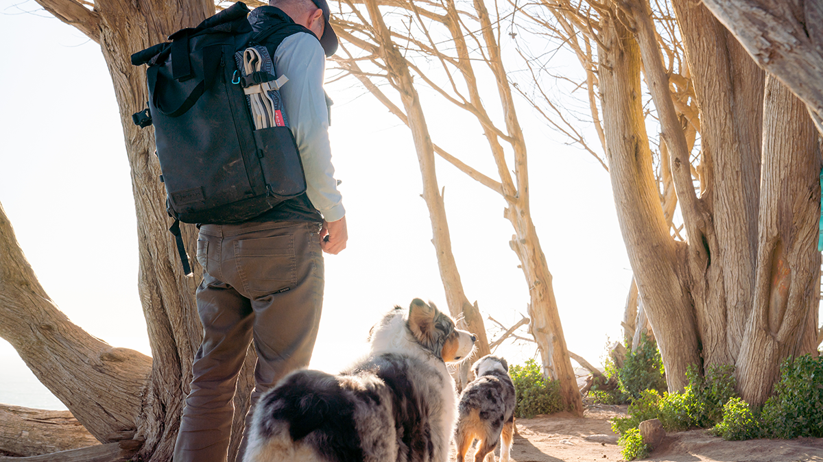 7 Tricks For Safely Hiking, Camping, and Backpacking With Your Dog