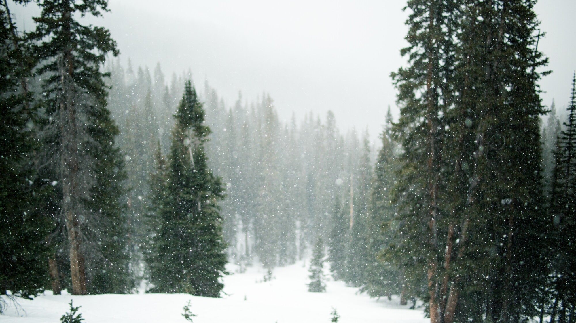 cold weather hammock