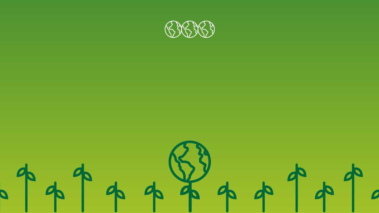 How to Celebrate Earth Day