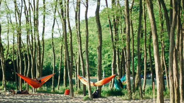 Best Hammocks Going Into 2021