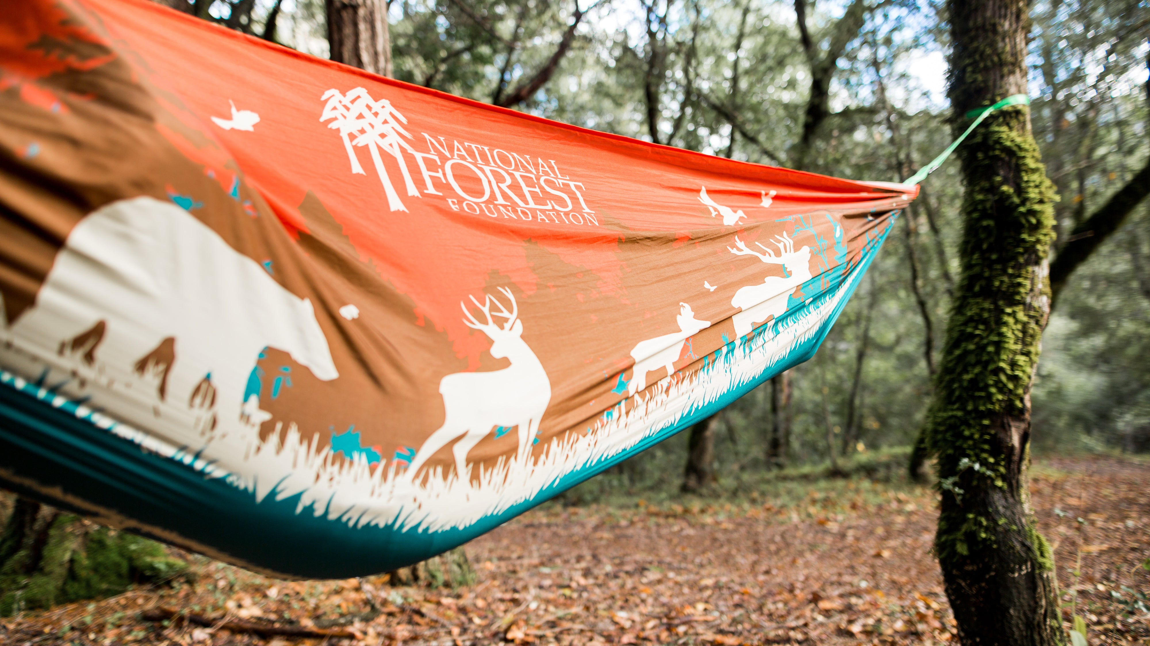 National Forest Foundation Hammock