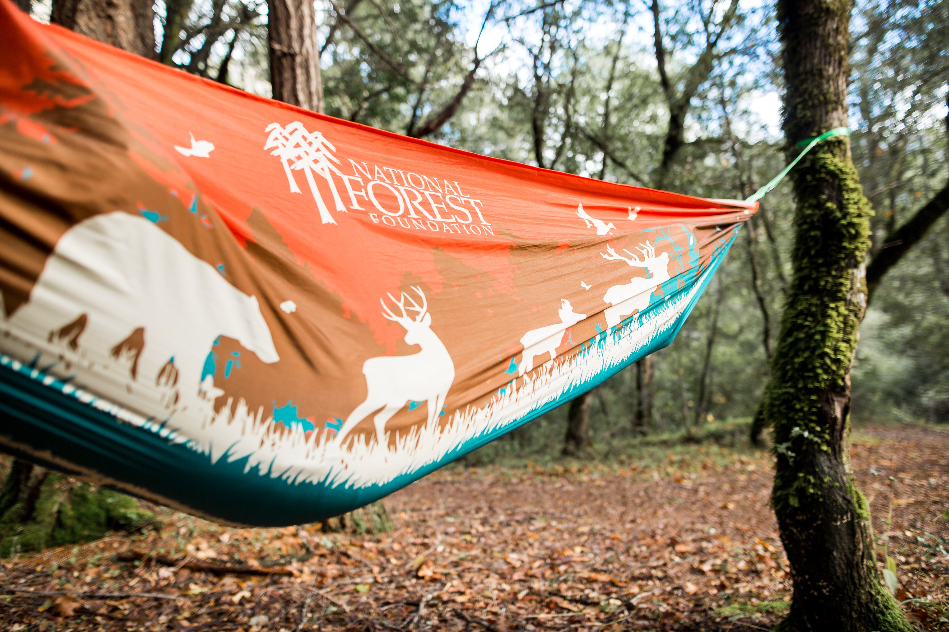 National Forest Foundation Hammock