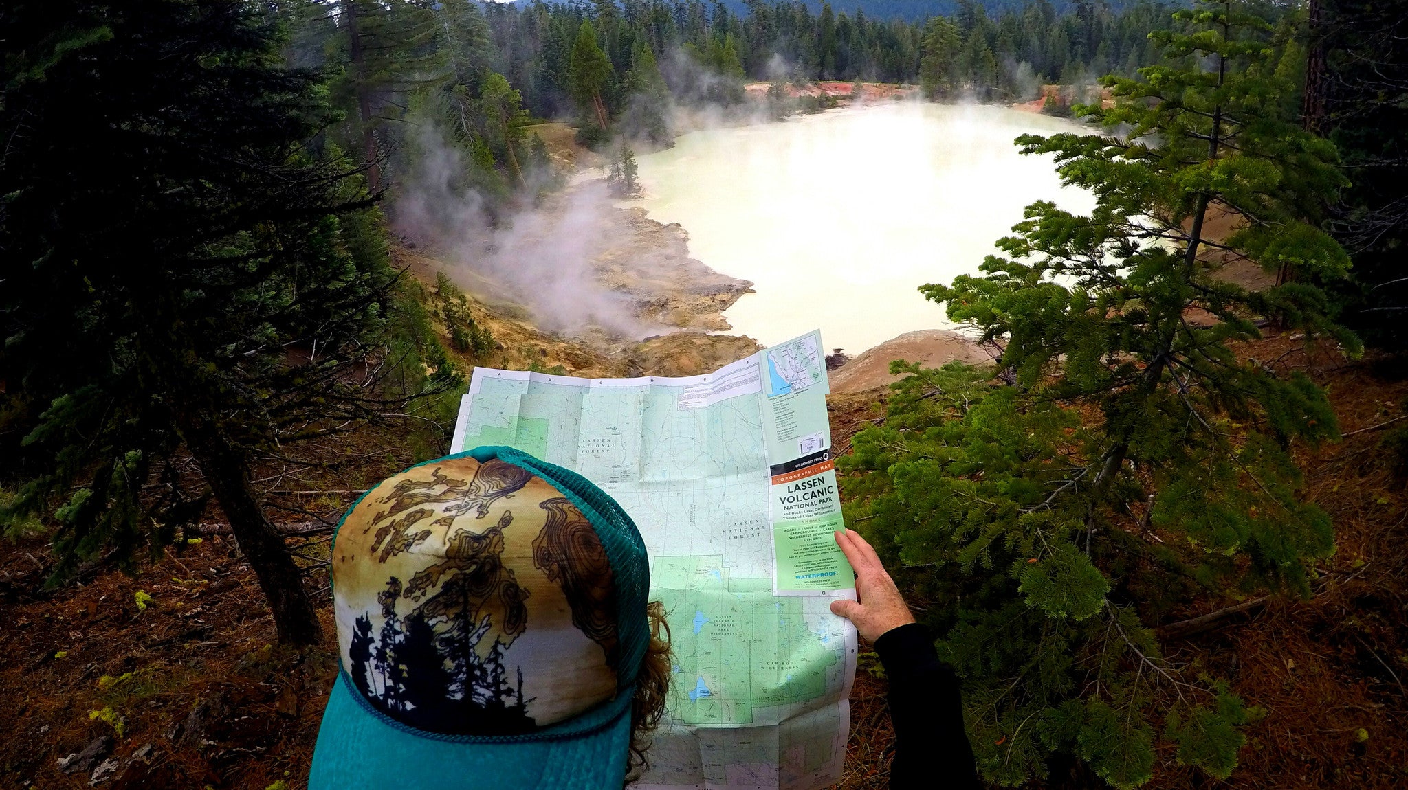 Life In The Bus Lane