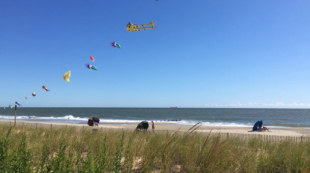 East Coast Road Trip: Where to Hammock Camp along the Way