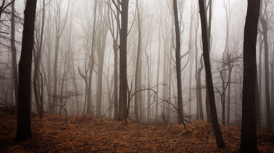 Spooky Halloween Hike and Hammock Hangouts