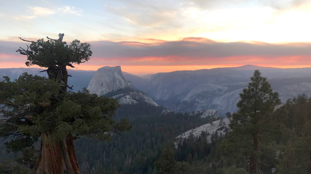 Hanging Your Hammock on the Beautiful Trees in the Sierra Nevadas