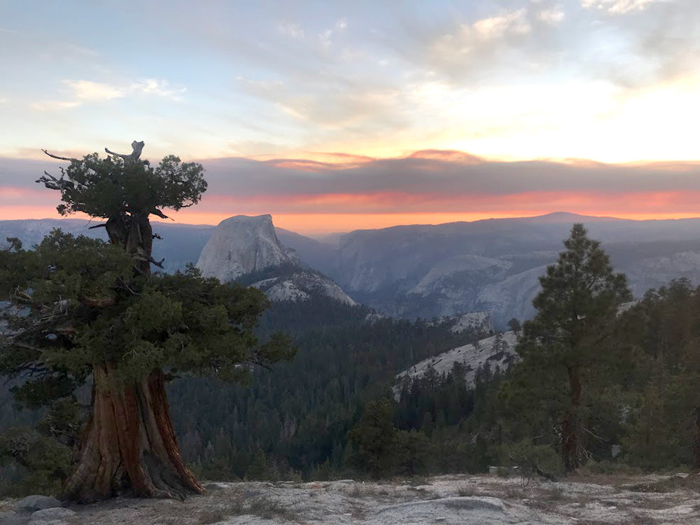 Hanging Your Hammock on the Beautiful Trees in the Sierra Nevadas