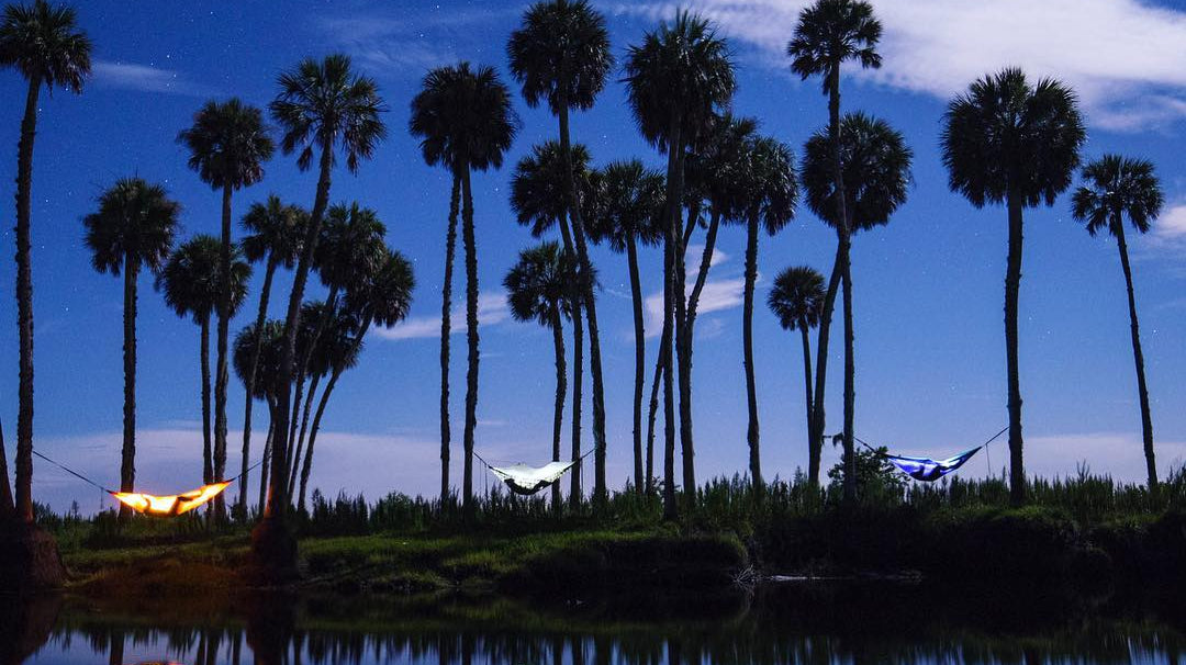 Don't Love the Cold? These Are the 5 Best States for Warm Winter Hammock Camping