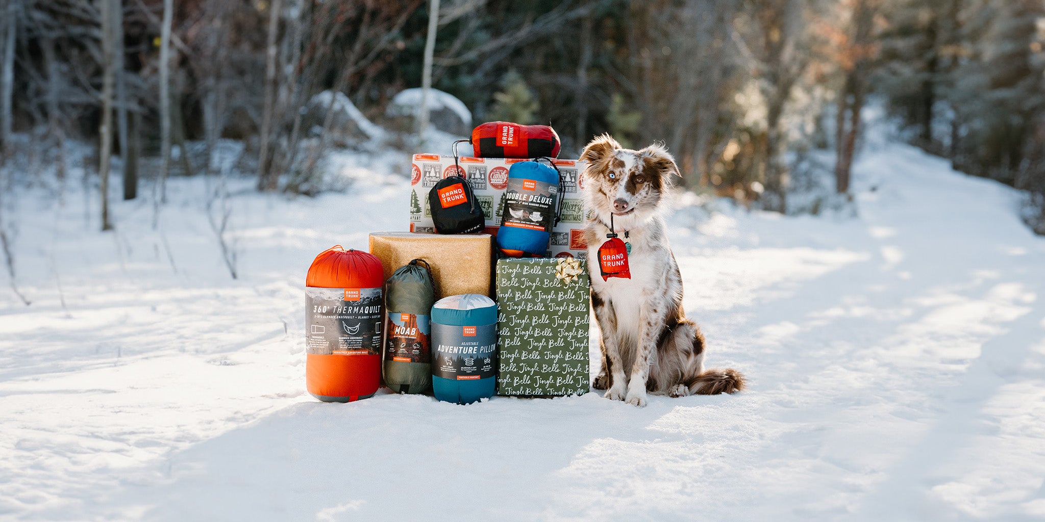 dog sits by a bunch of grand trunk gear and presents and gifts in a snowy area with forest trees in the background