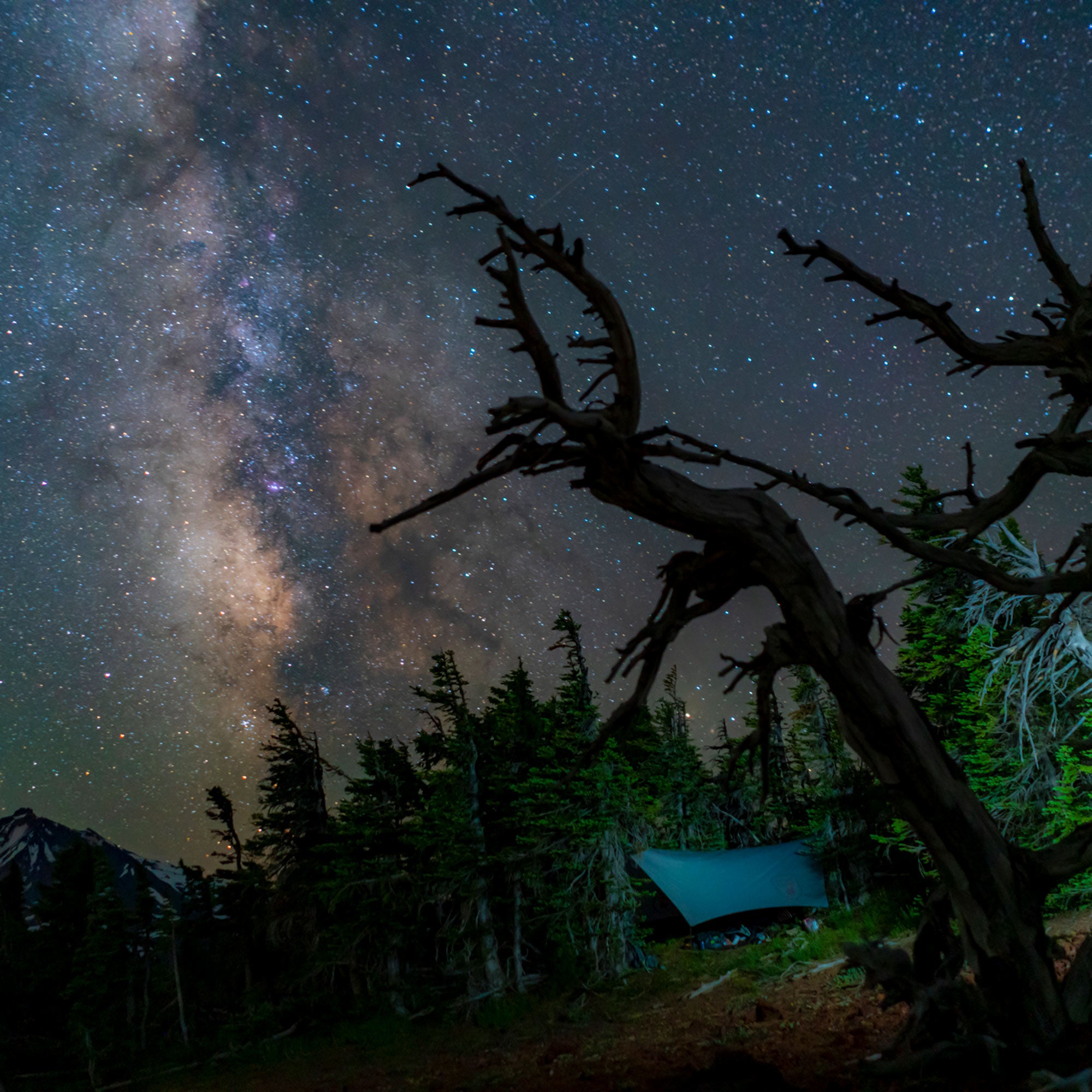 air bivvy all weather shelter set up in forest with a night time starry sky beautiful photography milky way