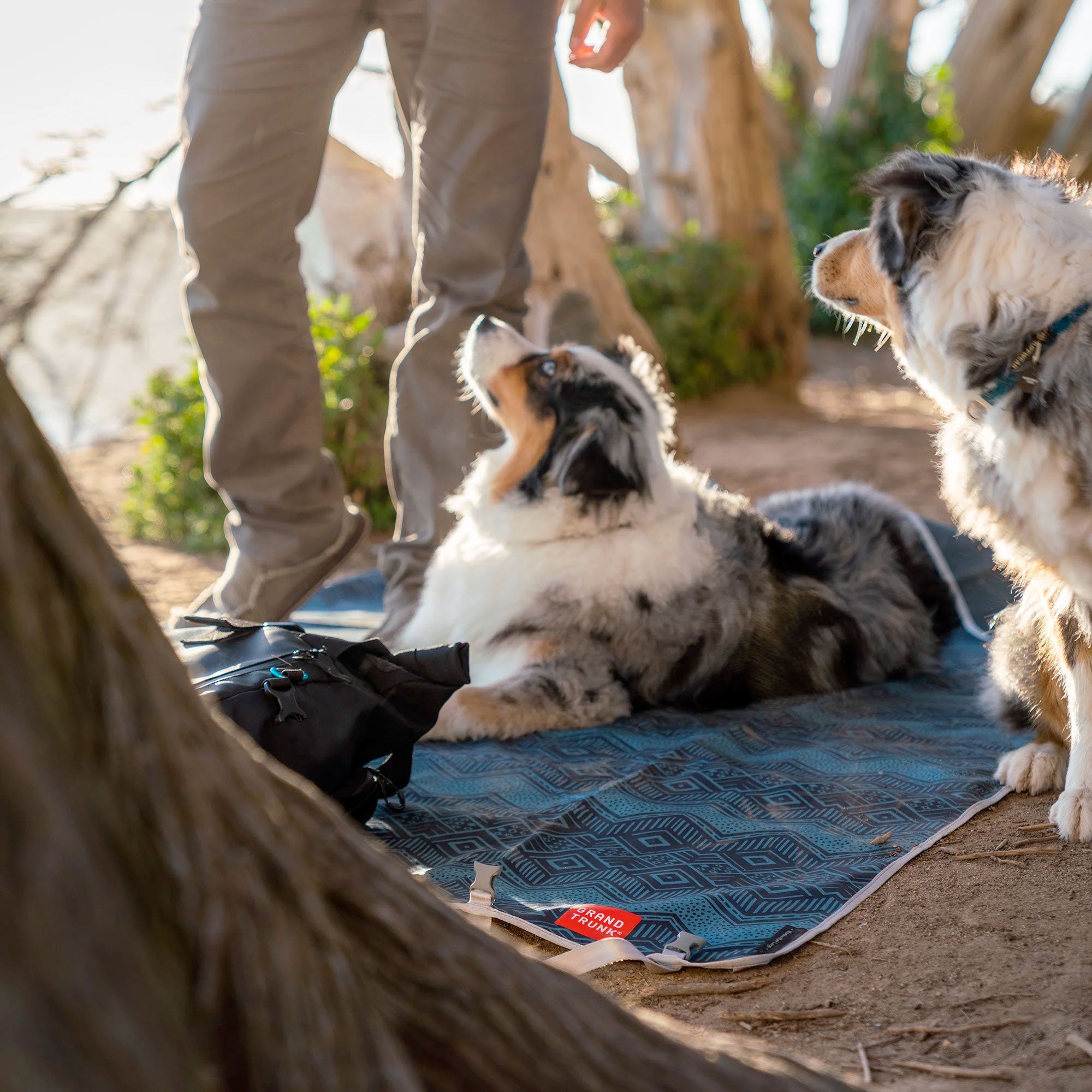 Dog laying on Grand Trunk Meadow Mat