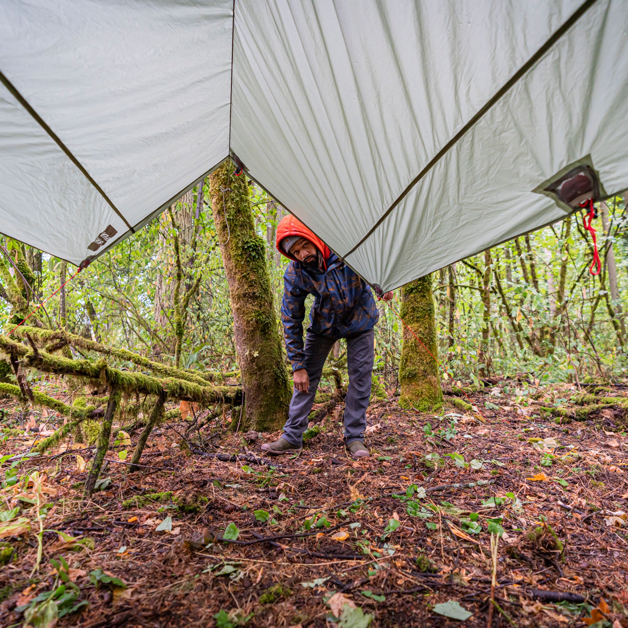man pulling final corner of the moab taut and preparing to take shelter underneath in a rainy forest