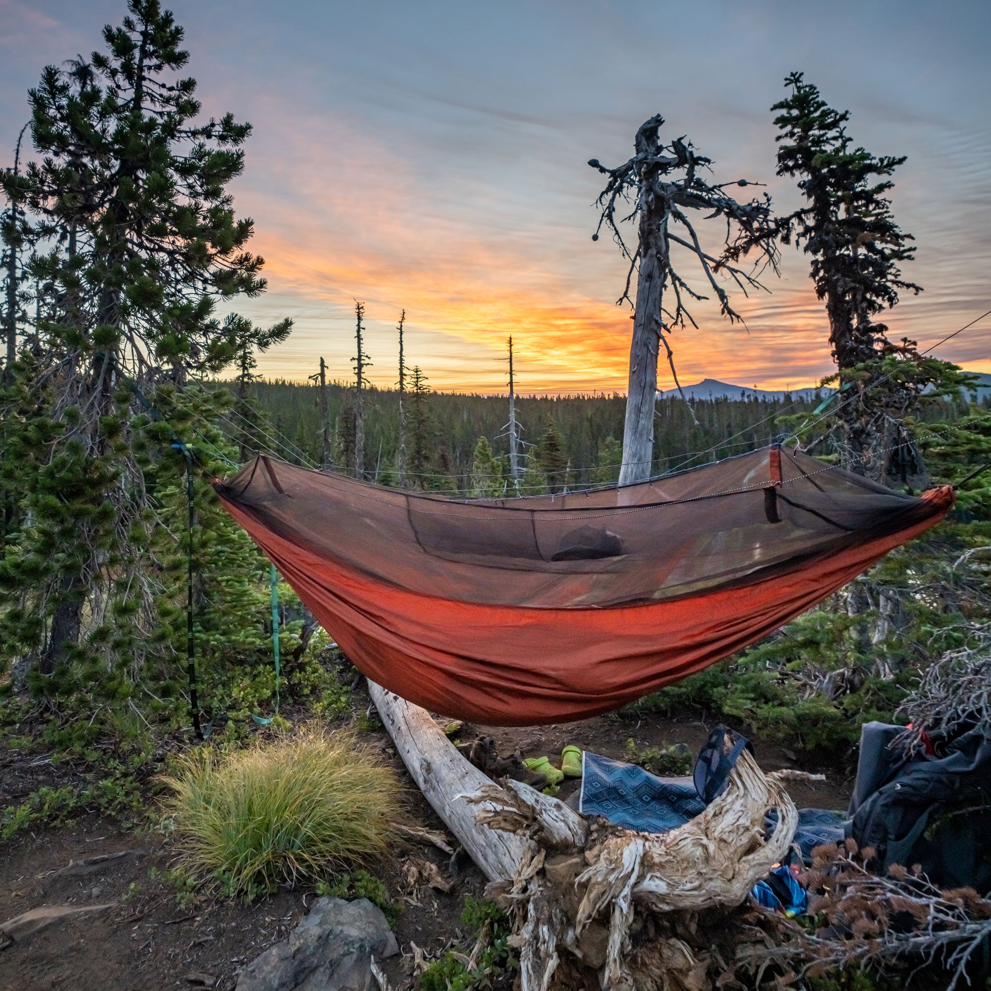 skeeter beeter hammock set up in the woods with a beautiful sunset happening in the background