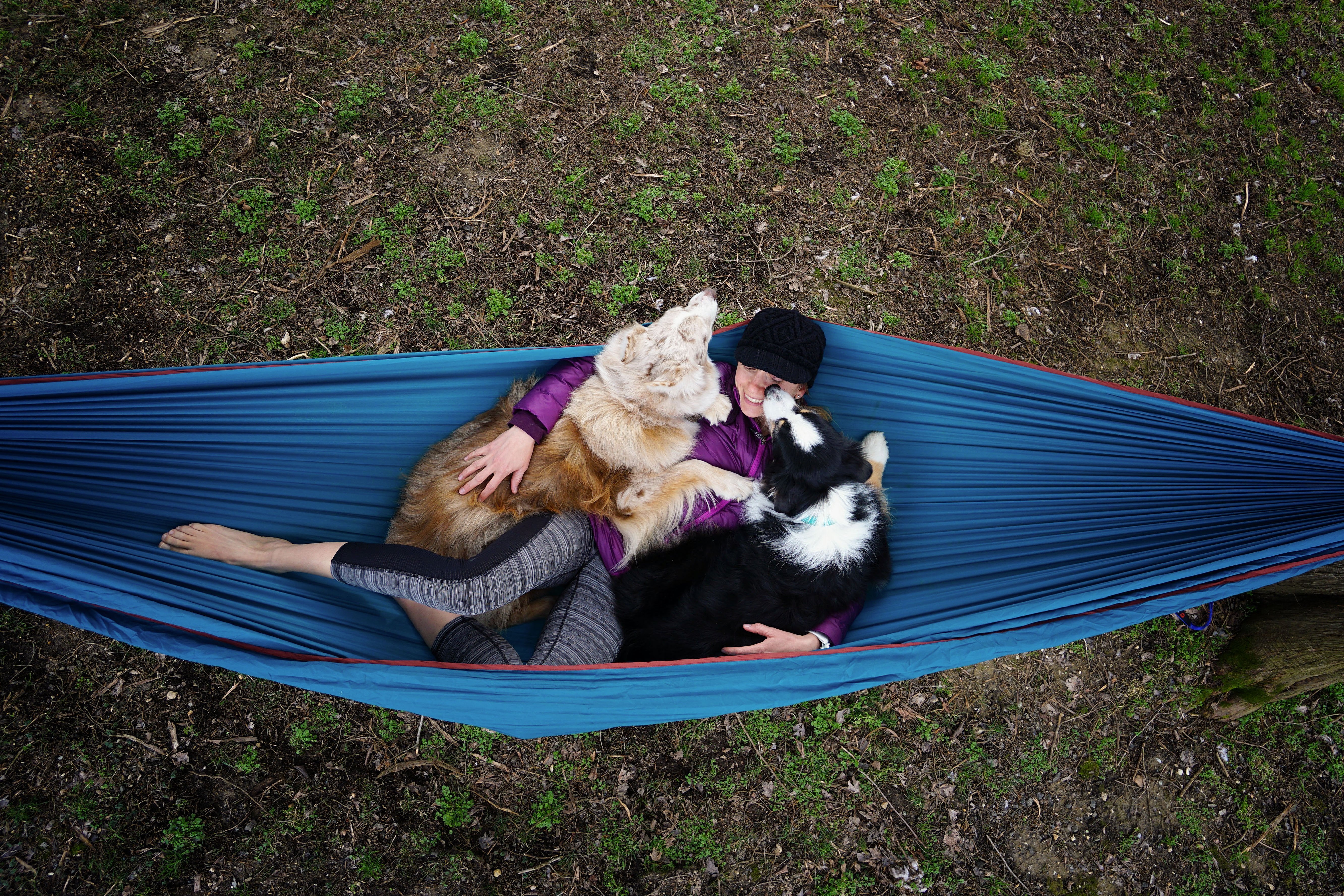 TRUNKTECH™ Double Hammock - Voilet/Aqua