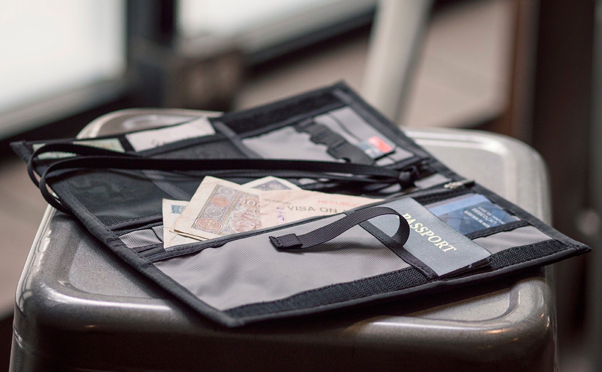 Passport Holder & Organizer - Mountain Grey