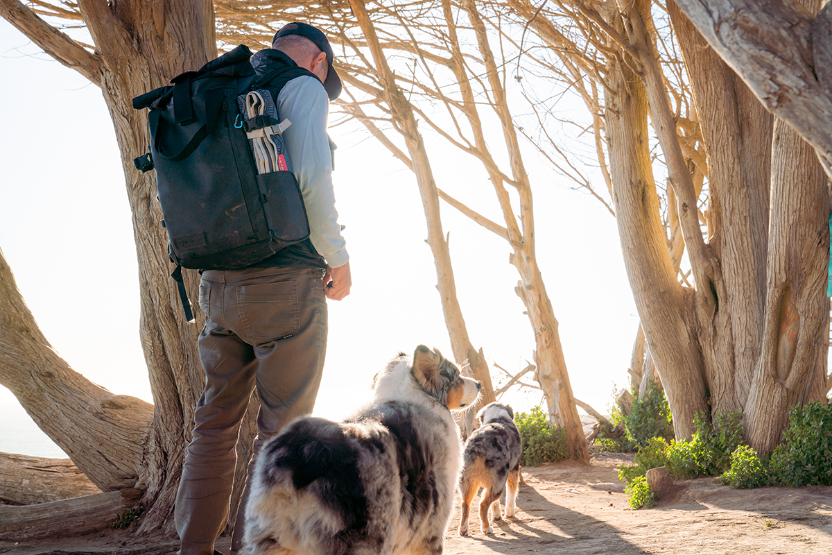 7 Tricks For Safely Hiking, Camping, and Backpacking With Your Dog