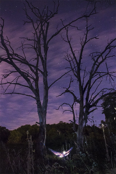 GT Paddle Fest/#HangTheMoon Campout