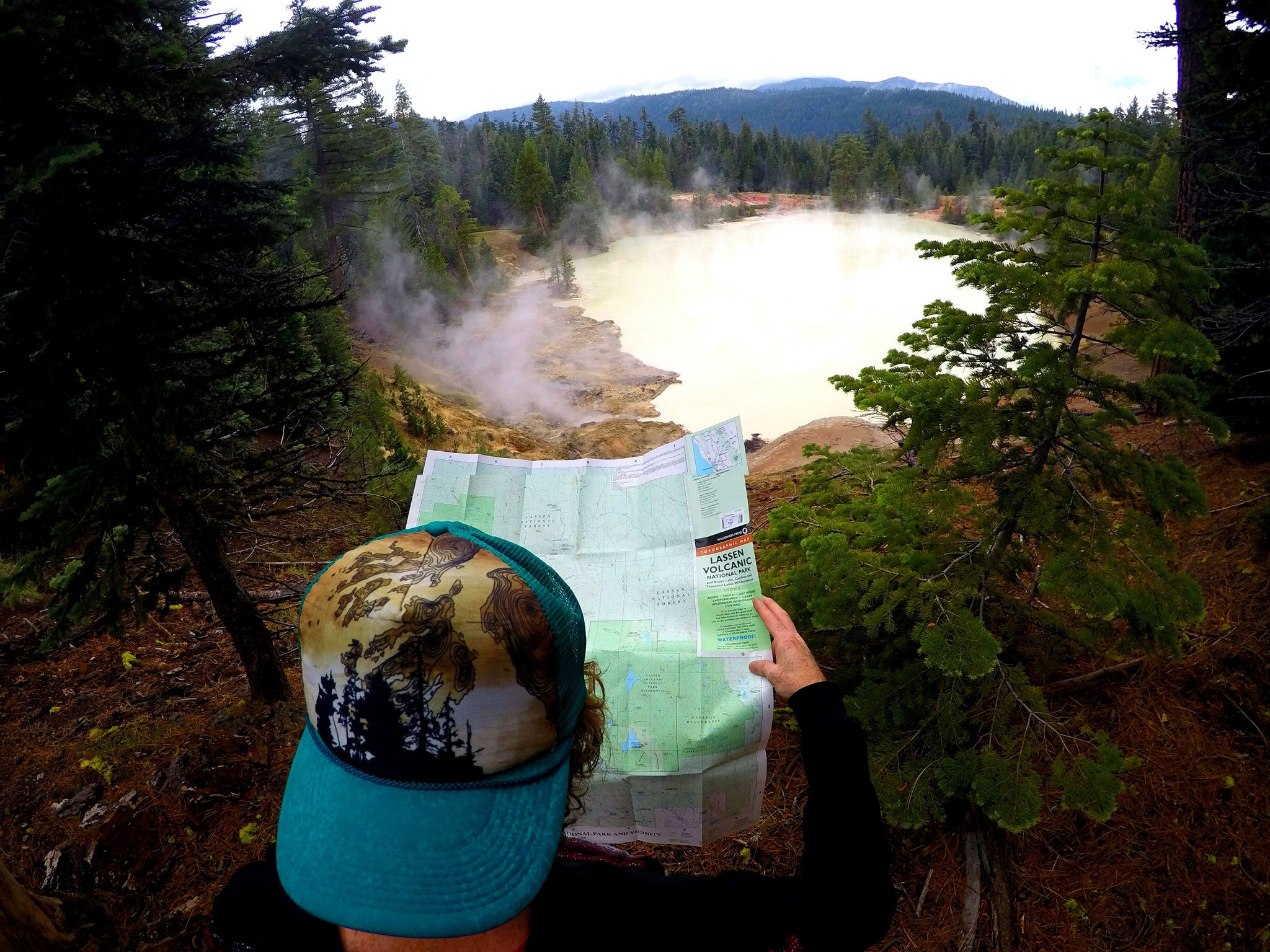 Life In The Bus Lane