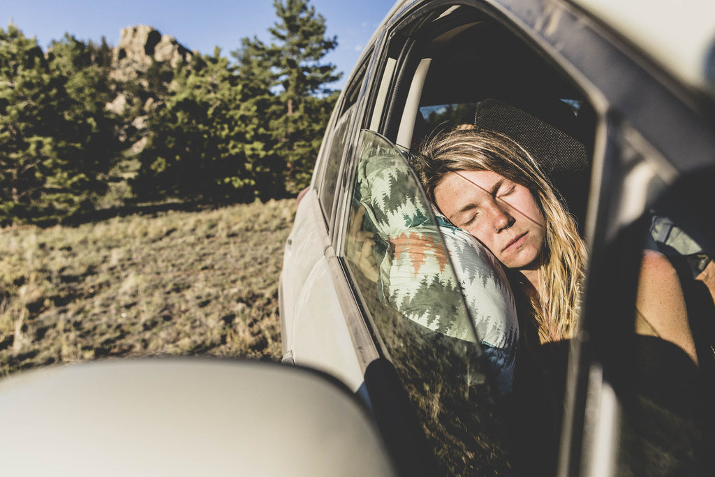 Happy National Napping Day - Here's our Favorite Nap Facts