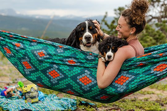 woman and dogs in hammock