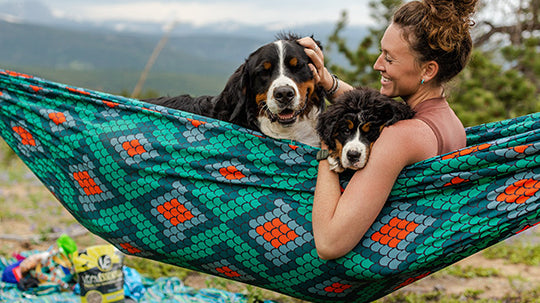 woman and dogs in hammock
