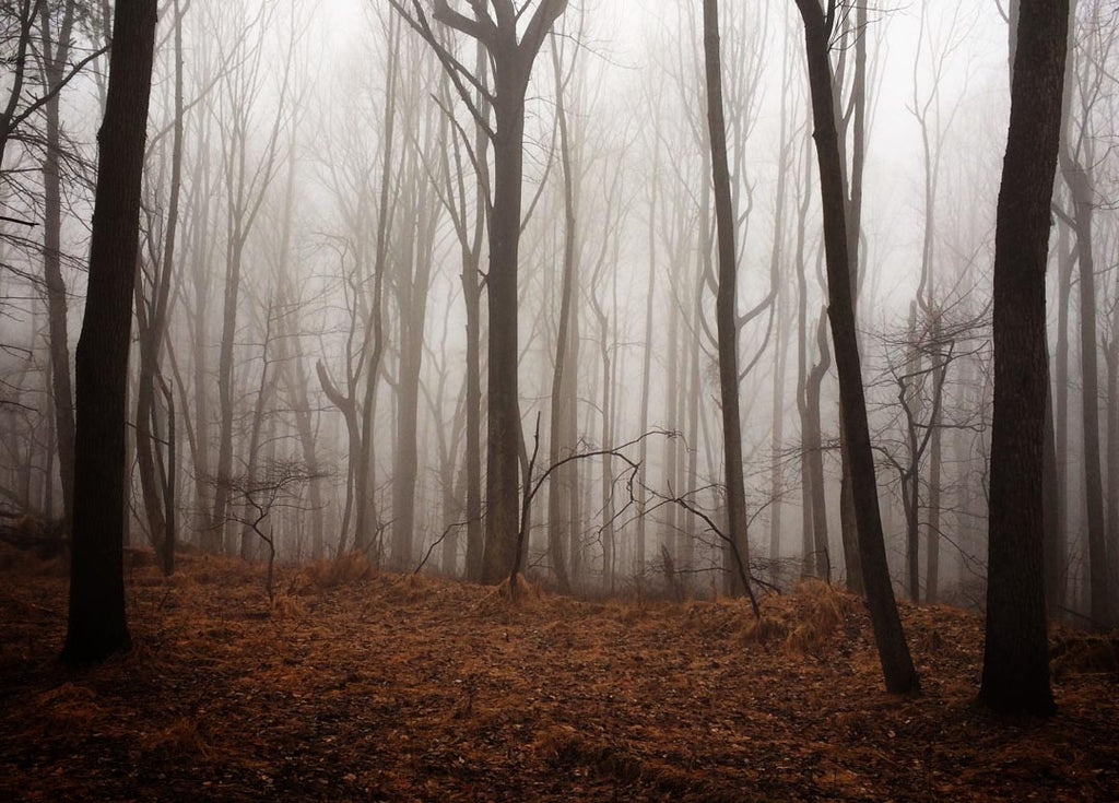 Spooky Halloween Hike and Hammock Hangouts