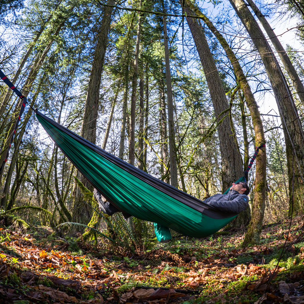 green and gray double deluxe hammock man laying in the forest