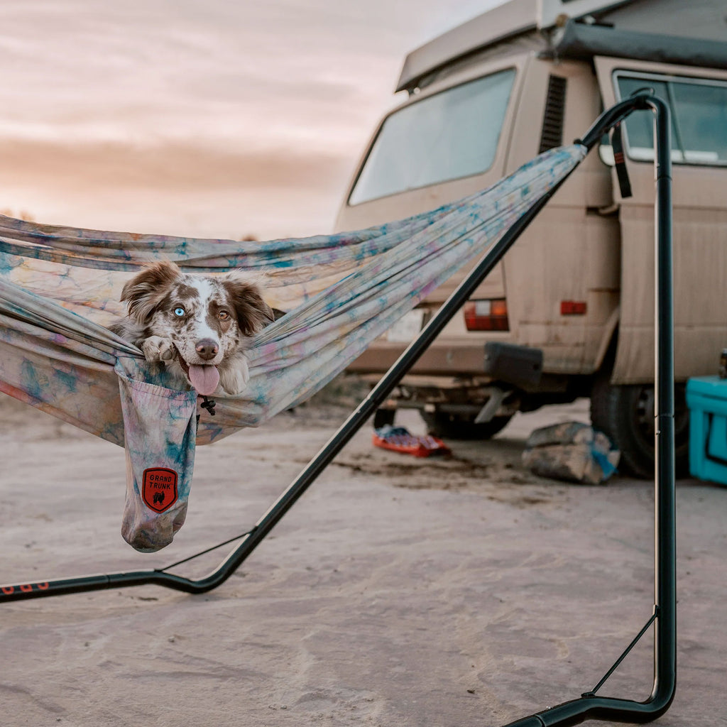 Dog in Grand Trunk Hammock Stand next to camper van