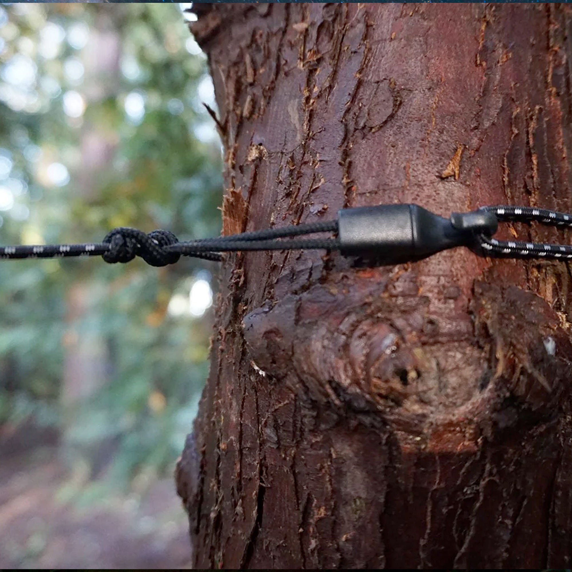 cinch lock cordage from the abrigo wraps around tree easily and holds in place with ease