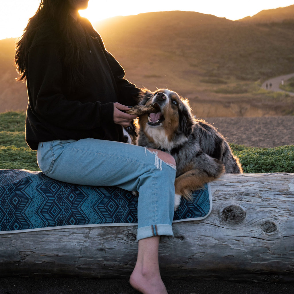 Woman and dog sitting on meadow mat drapped over a log