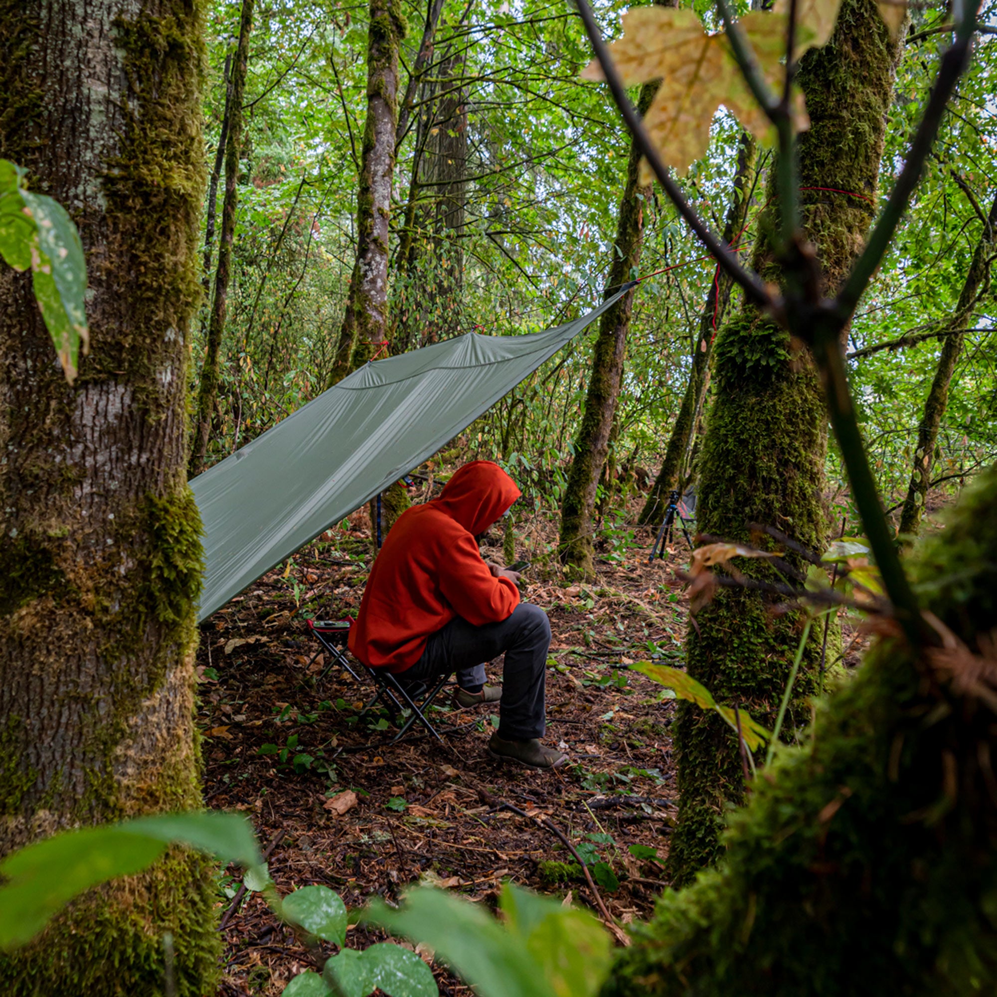 grand trunk funky forest tarp Moab All-In-One Shelter Hammock – GrandTrunk