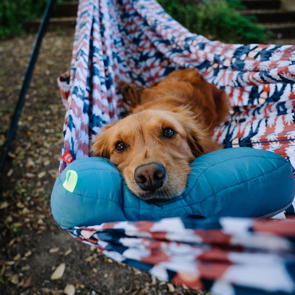 Dog resting on siesta hammock pillow in TrunkTech™ hammock inside of hammock stand
