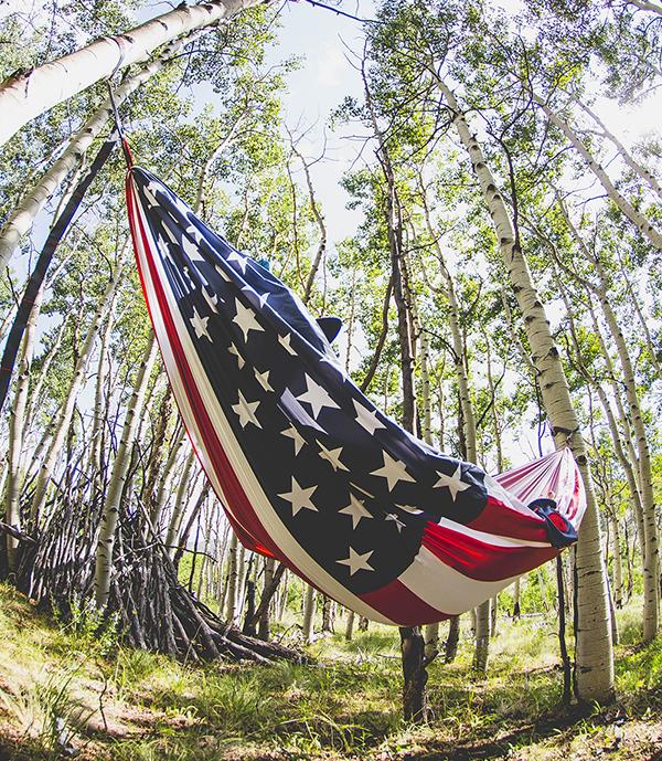 グランドトランクSouth Carolina Flag Hammock