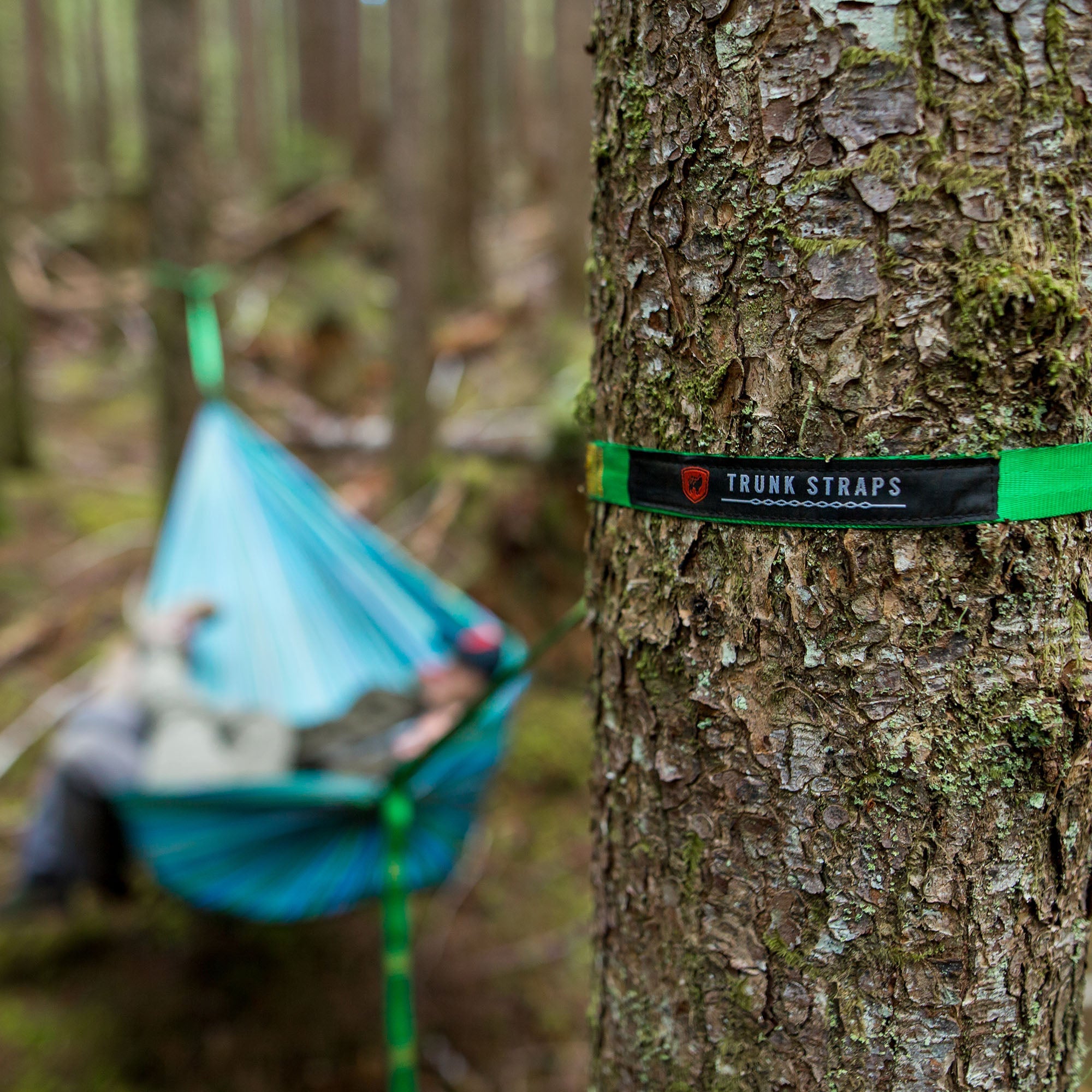 Straps to sales hang hammock